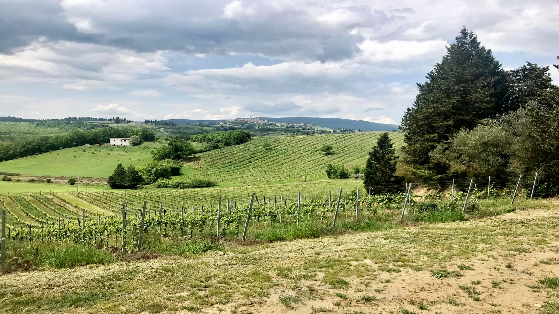 Trekking natalizio tra le torri di San Gimignano