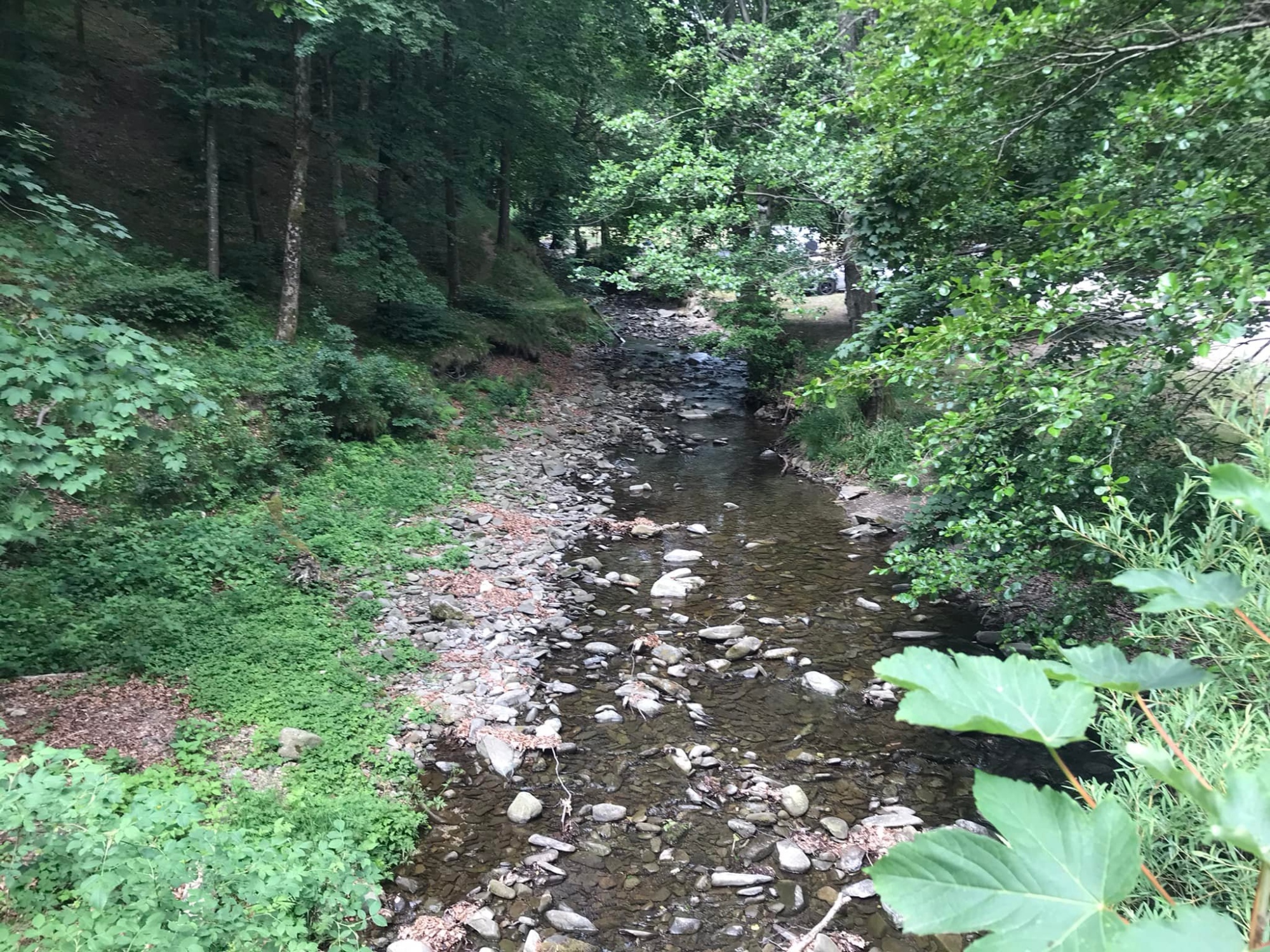 Trekking in the Acquerino Forest Reserve