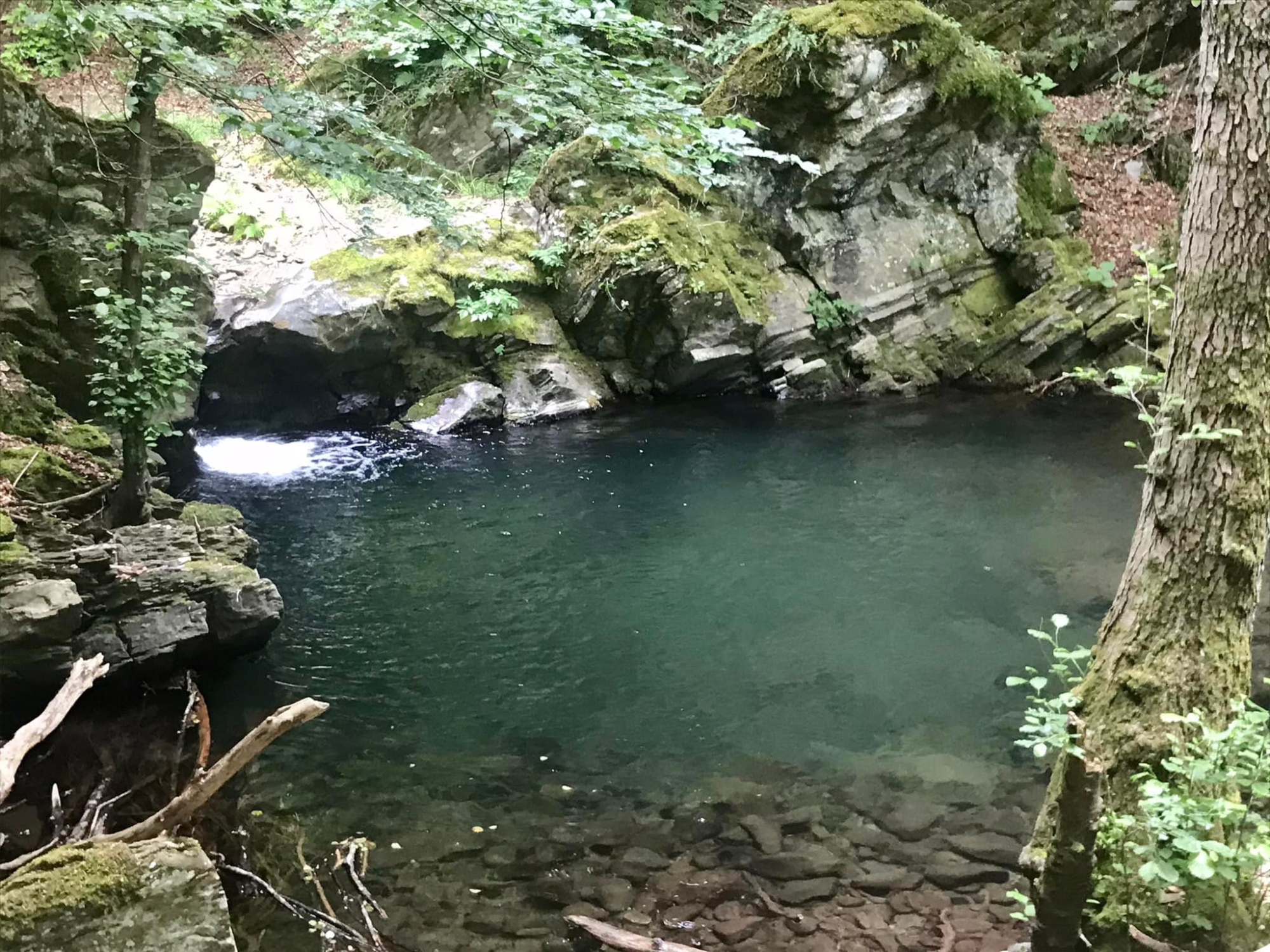 Trekking in the Acquerino Forest Reserve