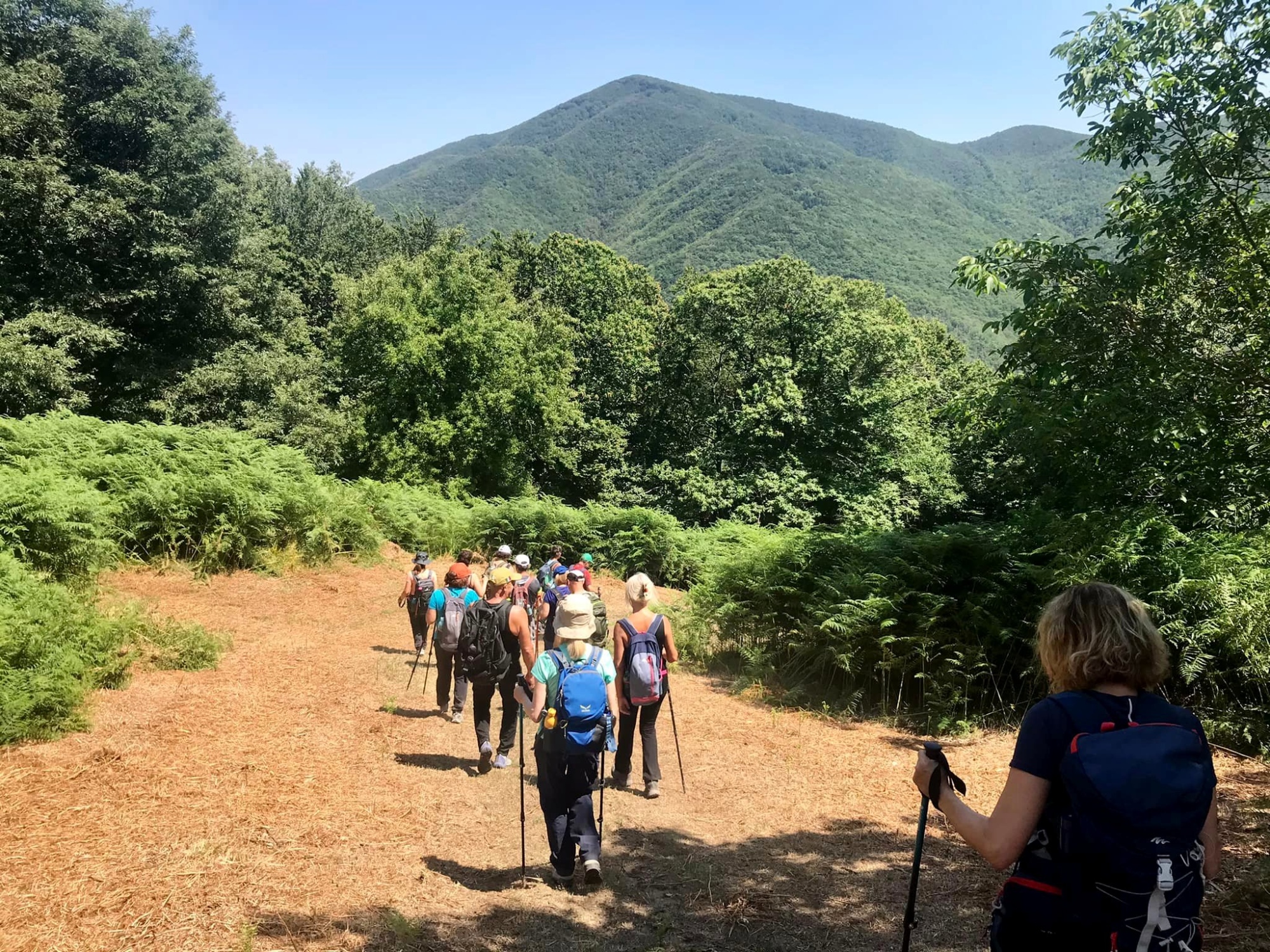 Un percorso storico-naturalistico nell'incredibile anfiteatro verde a monte di Reggello