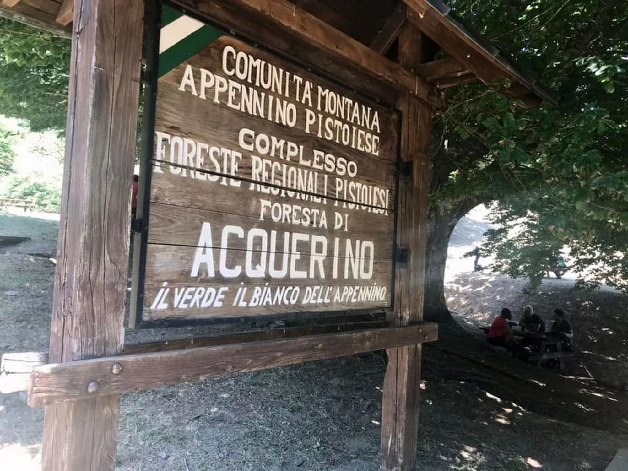 Foresta di Acquerino-Cantagallo