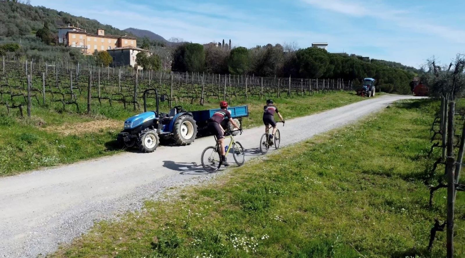 Bike tour through Lucca’s countryside until San Pancrazio, wine tasting and lunch 