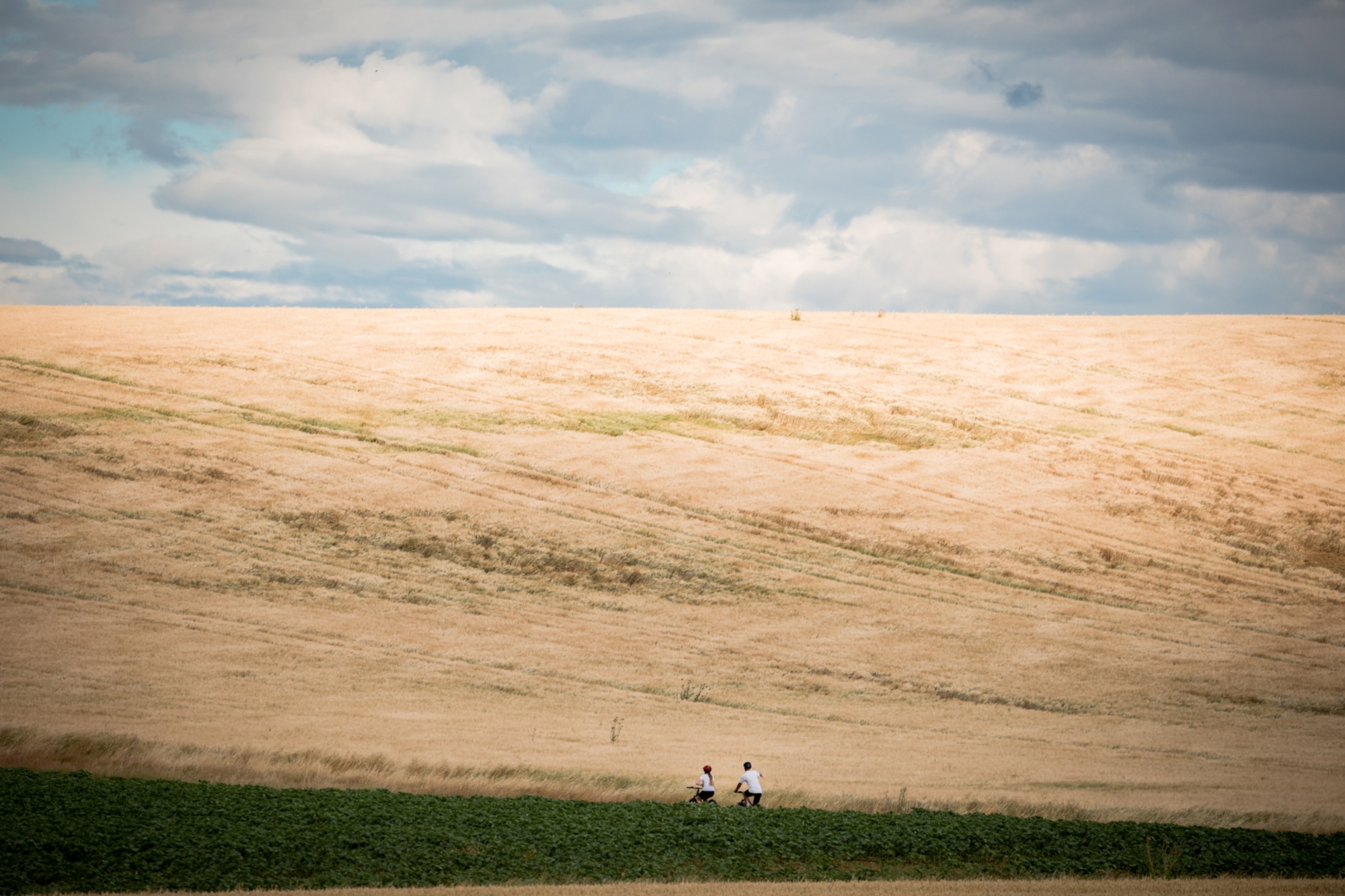 Un tour in eBike per scoprire il territorio della Valdichiana e degustare il vino di una cantina locale