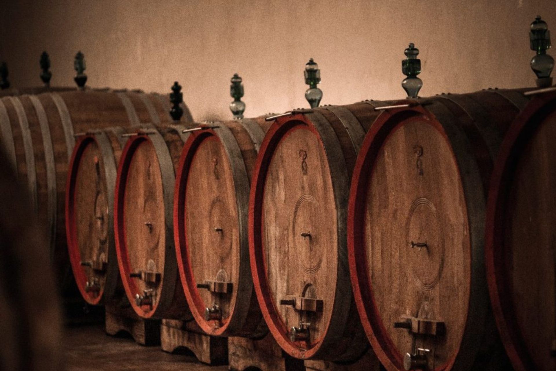 Degustazione di Vino Nobile di Montepulciano nelle cantine del centro storico