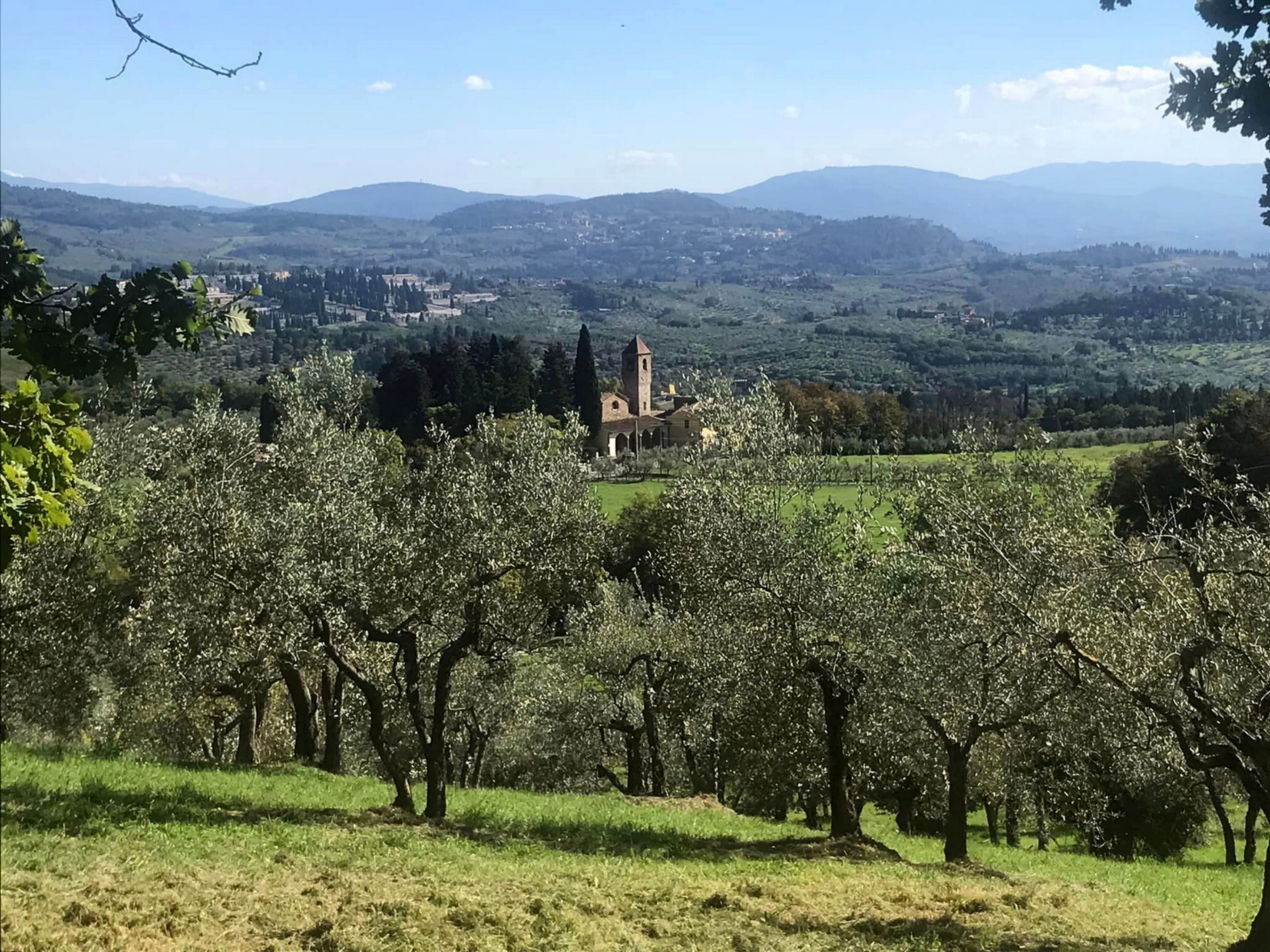 Florence, fireflies at the slopes of Mount Morello