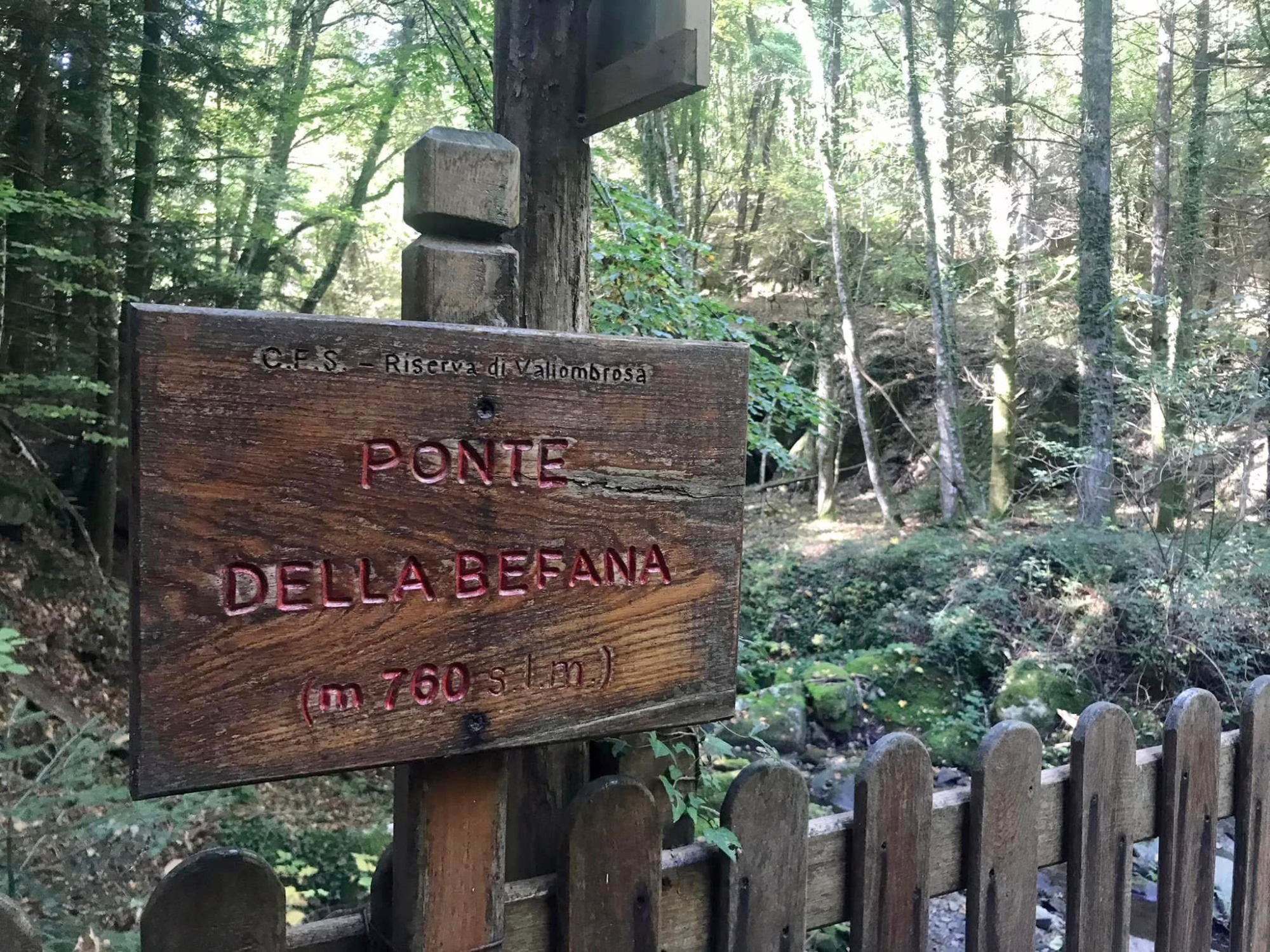 Cartello del Ponte della Befana – Riserva di Vallombrosa