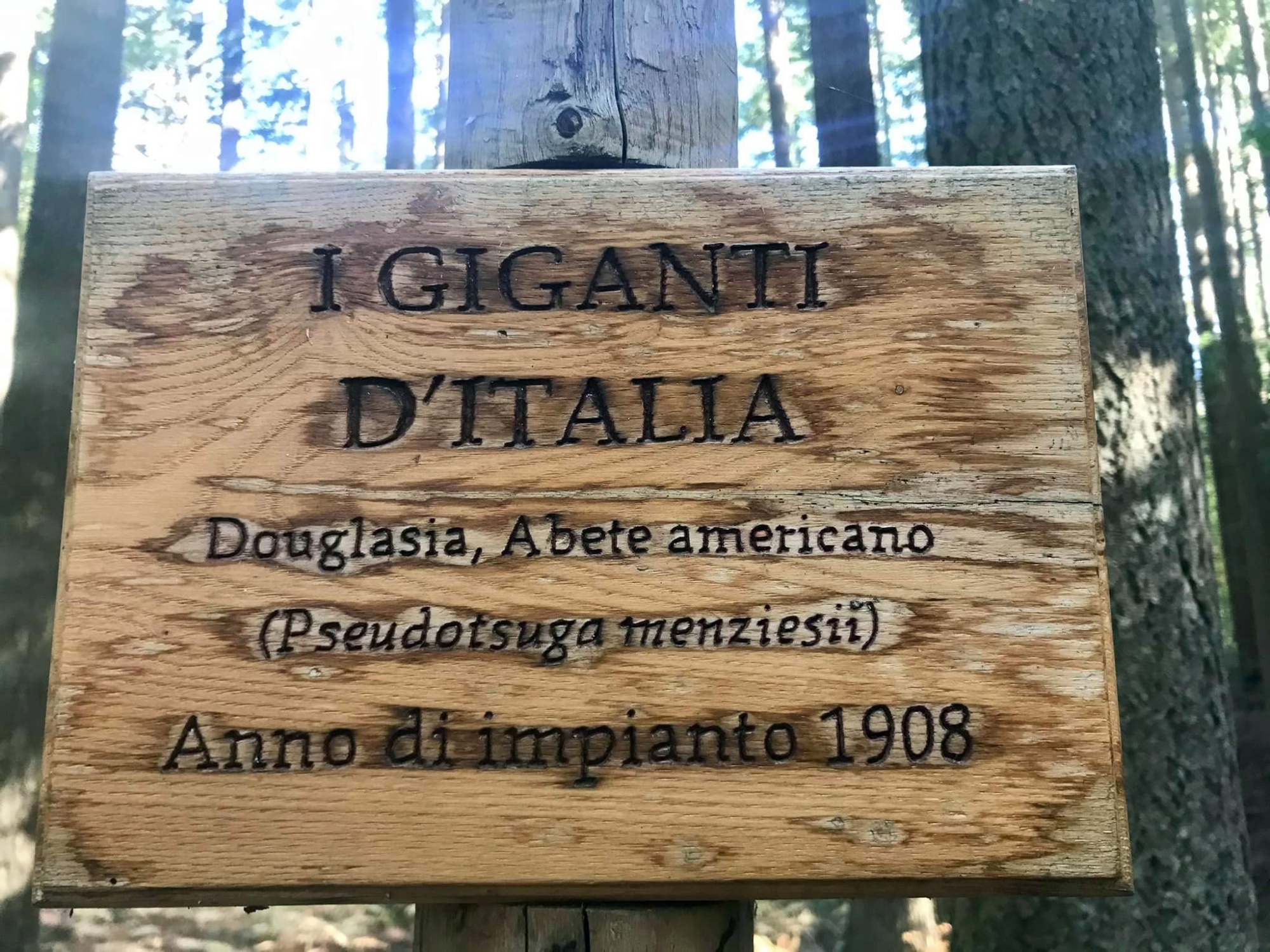 Family Trek alla Scoperta dei Giganti