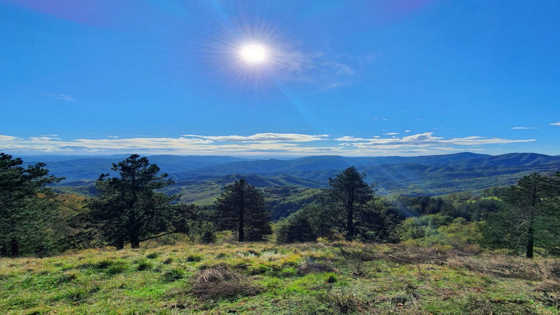 Trekking tra natura e storia dal Chianti al passo della Consuma