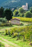 Chianti and supertuscan tour from Florence