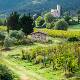 Chianti and supertuscan tour from Florence