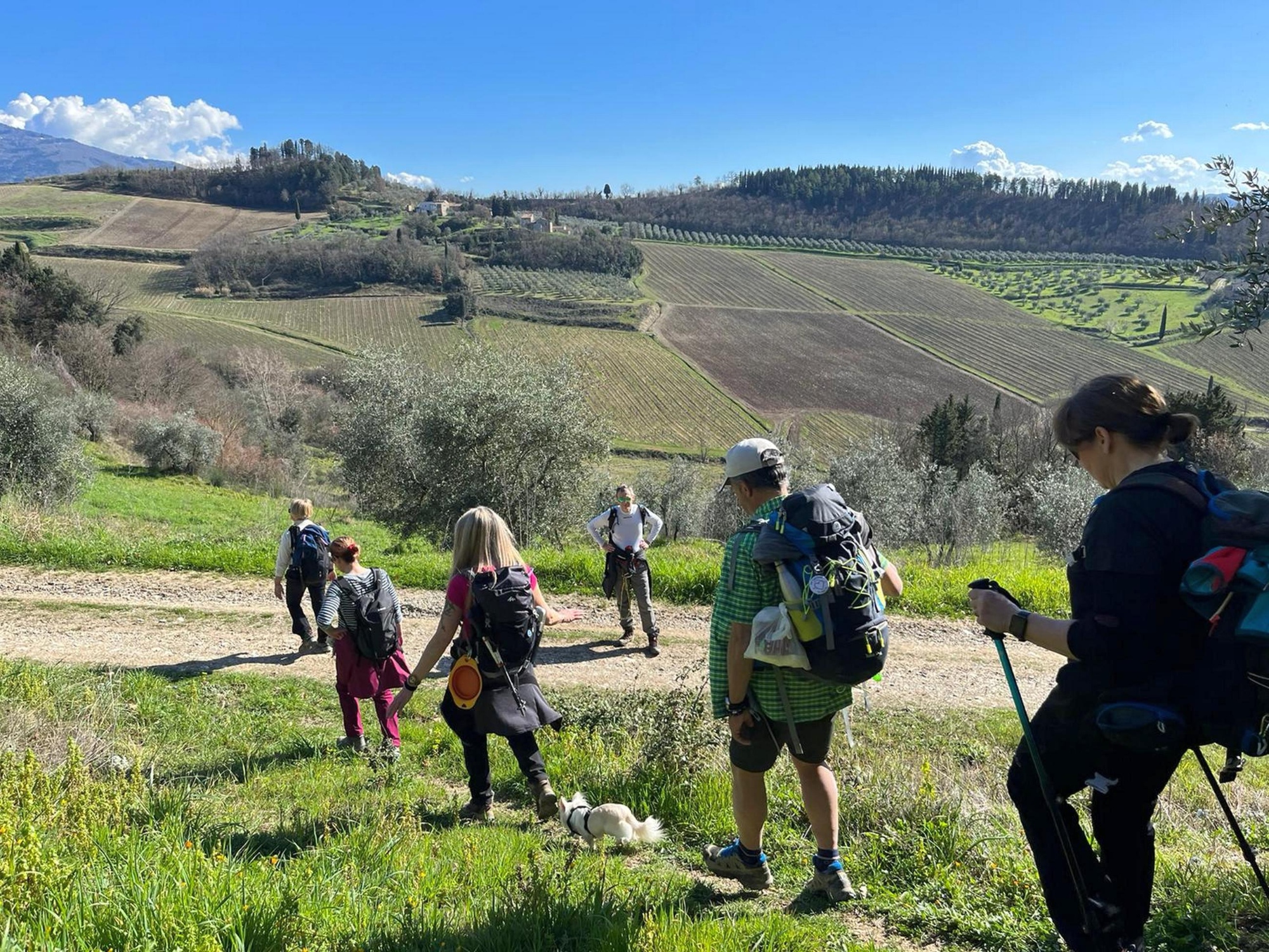 Passeggiata tra Montecarlo e la Quercia delle Streghe