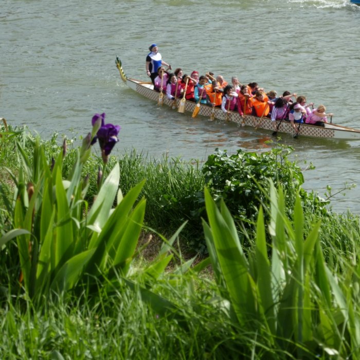 Tour a piedi e gita sull'Arno con le Dragonesse Tour a piedi e gita sull'Arno con le Dragonesse