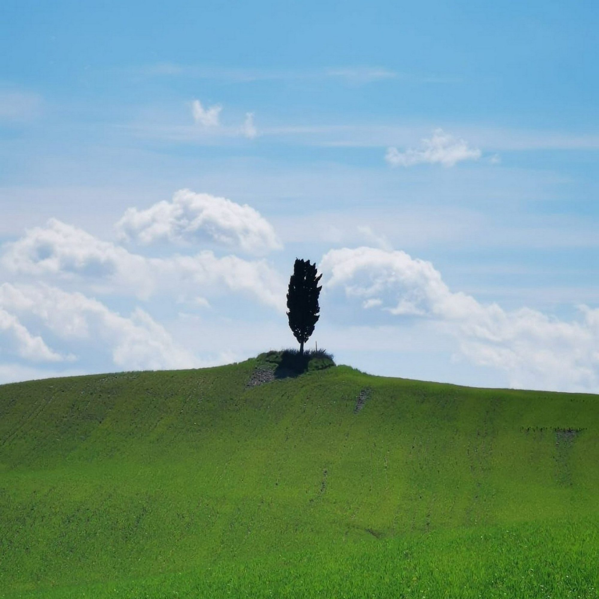 Pienza soft trekking in Val d'Orcia