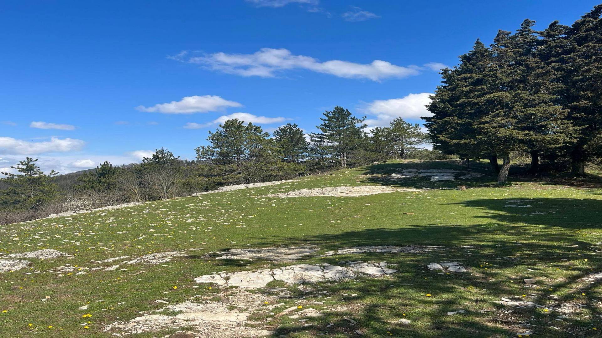 Trekking dall'alto valore naturalistico nel Mugello