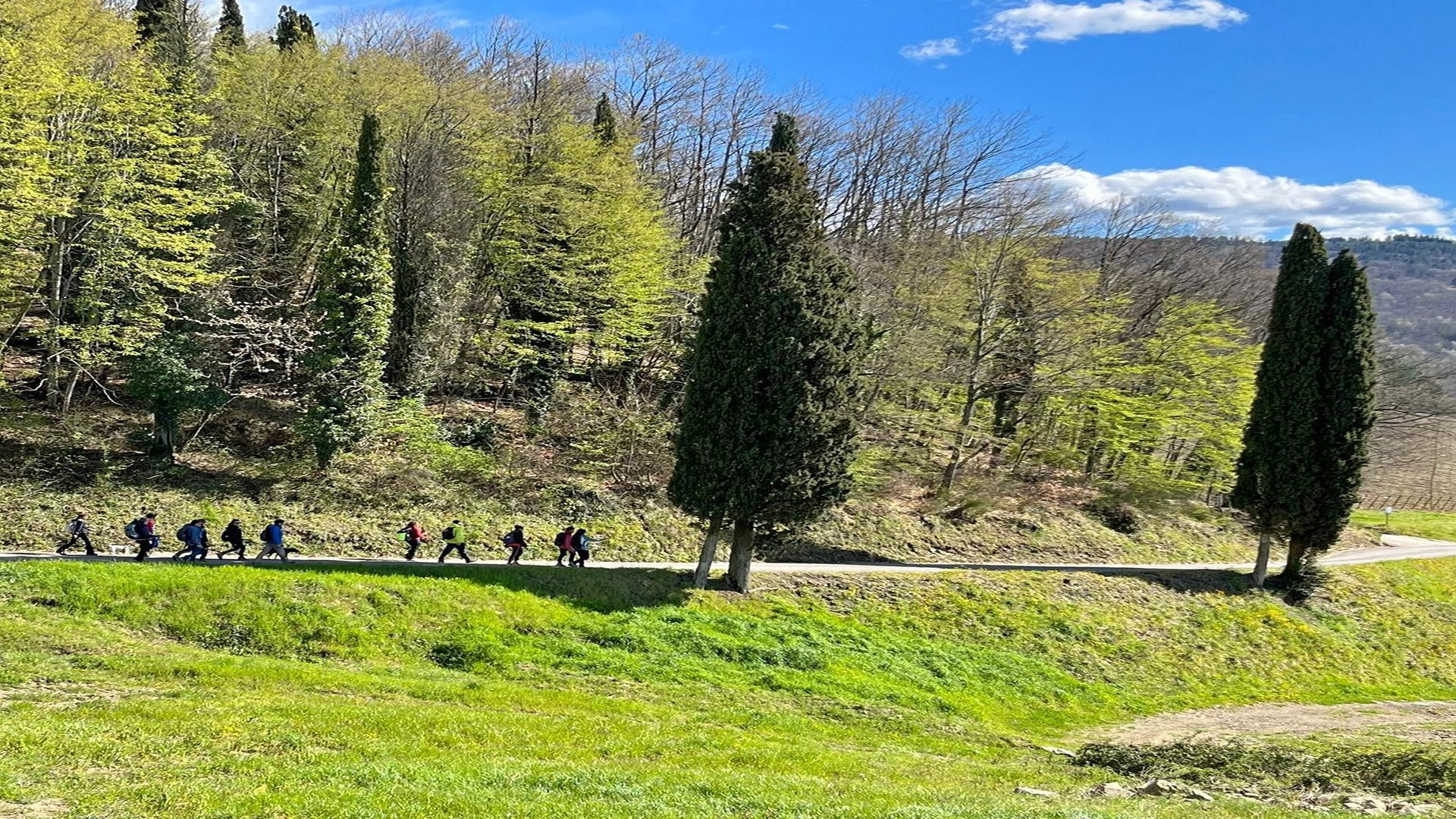 I Colli d’Oltrarno: Firenze, le sue bellezze e le sue colline