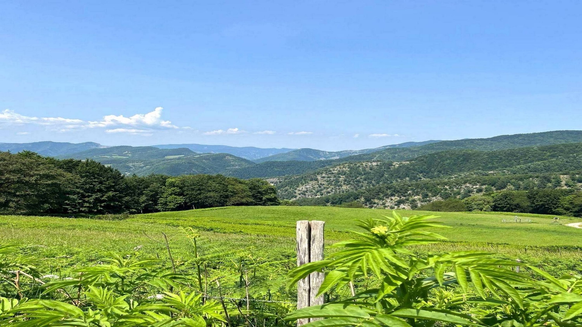 Paesaggio collinare e prati verdi nei dintorni di Castelnuovo di Val di Cecina
