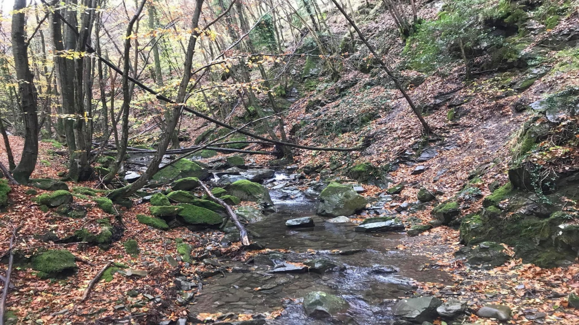 Trekking through the hidden valley