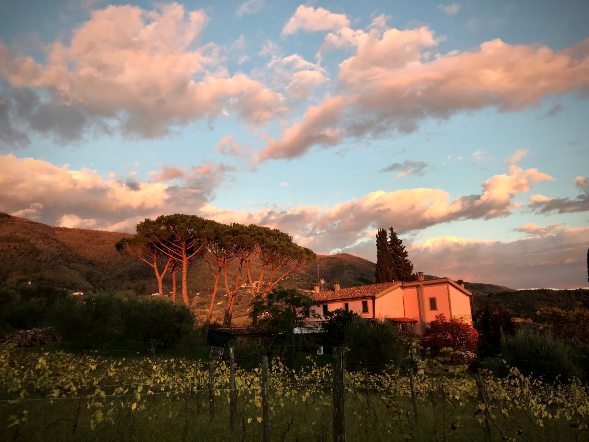 Discovering nature in the hills of Lucca