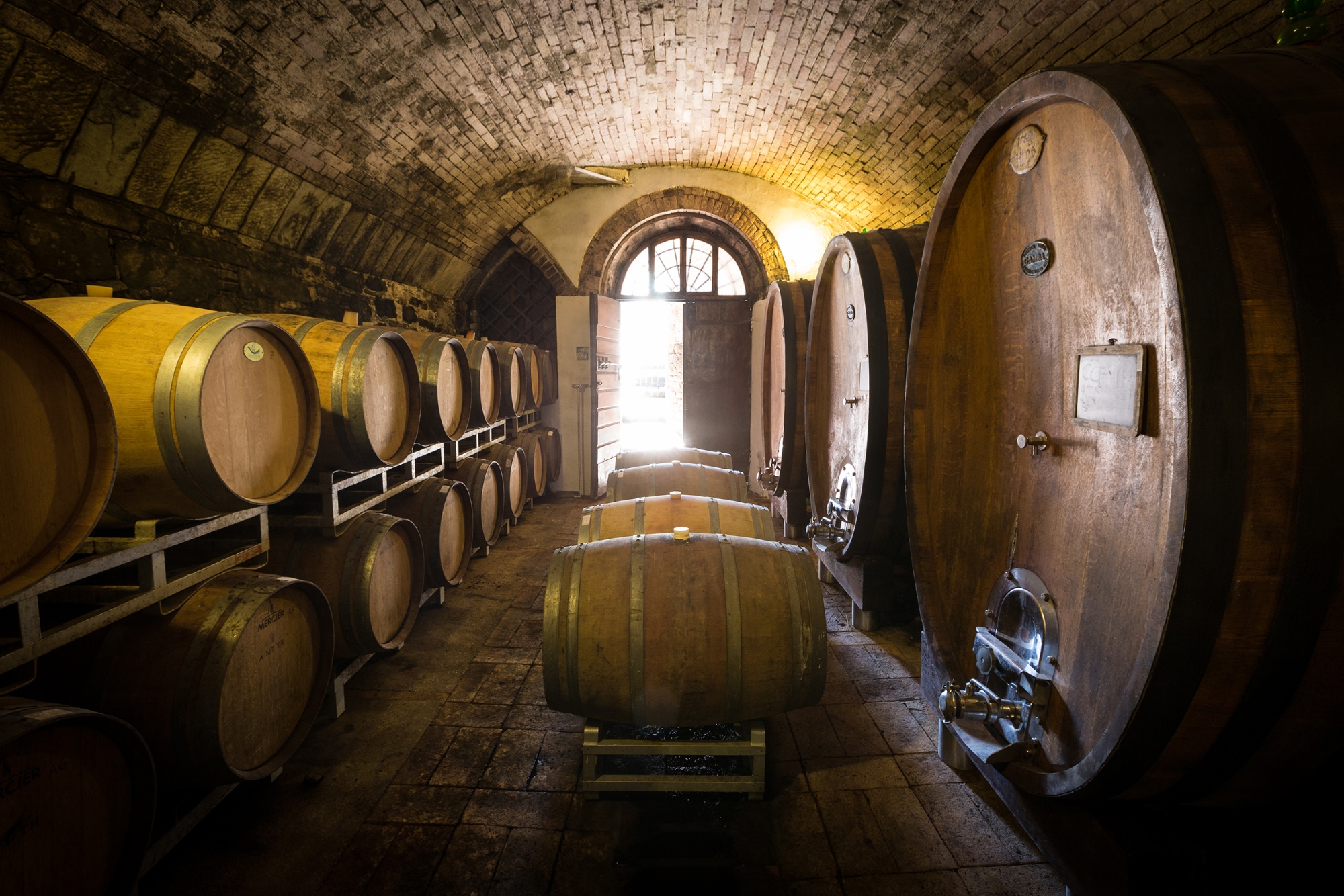 Tasting and light lunch at Fattoria San Michele a Torri