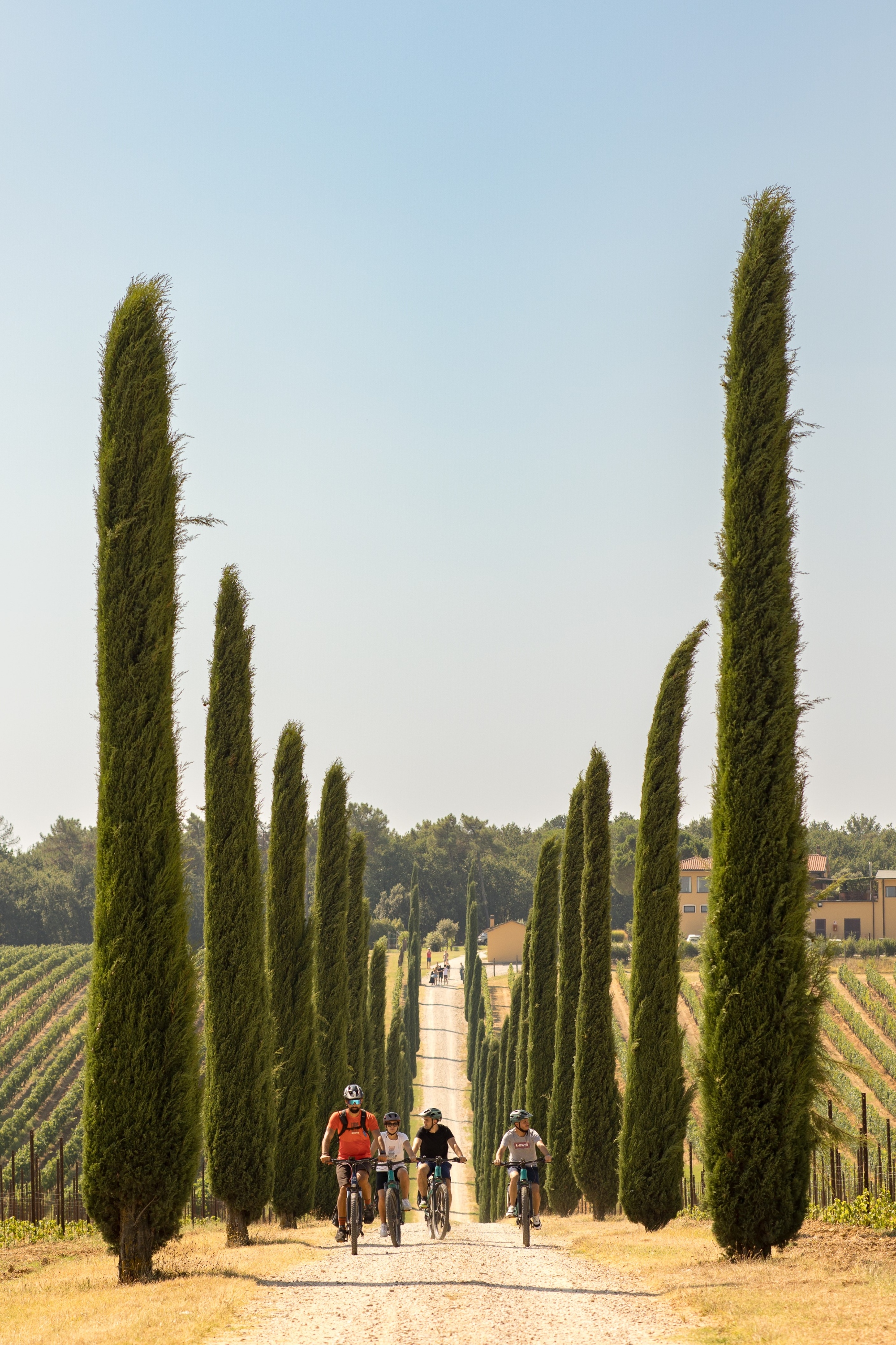 Val di Chiana 3
