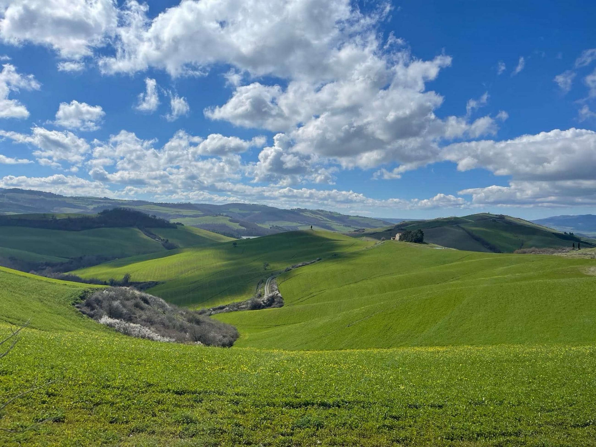 Nel mare delle crete della val d'Orcia