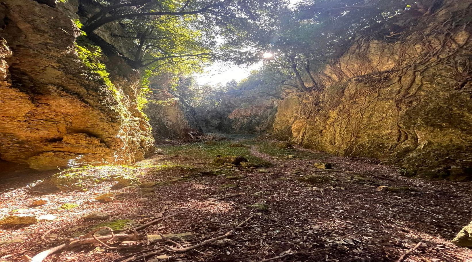Le Grotte Gialle, cavità rocciose nel cuore del bosco