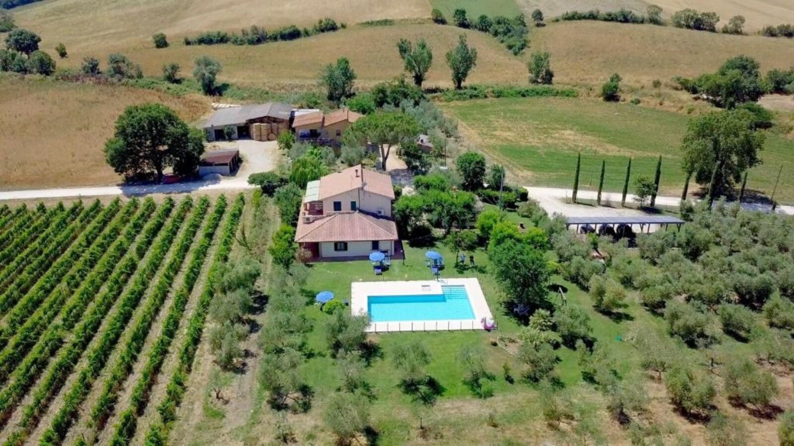 Panoramic view of the farm holiday accommodation, with swimming pool and vineyards