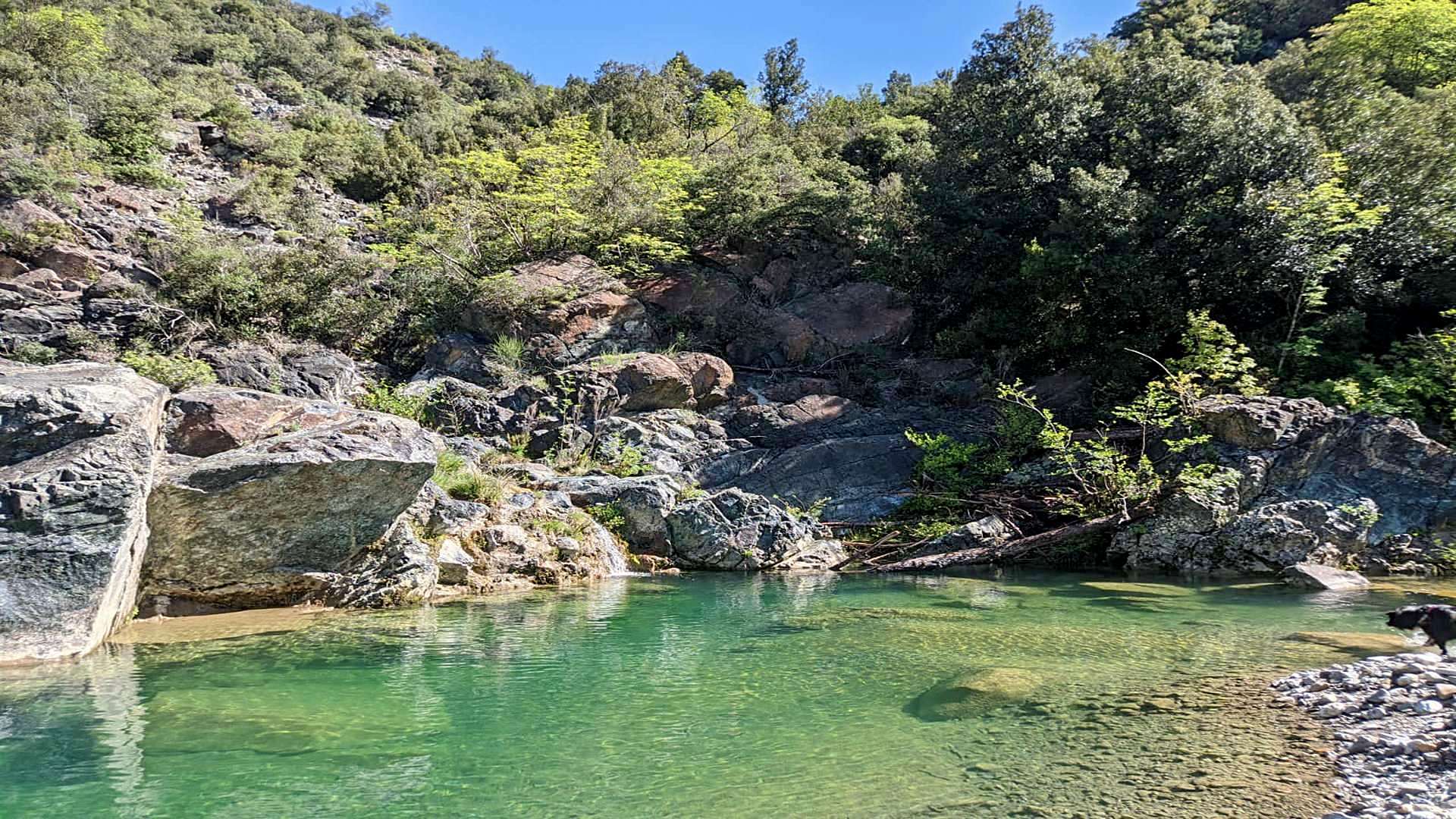 La Risalita del Pavone