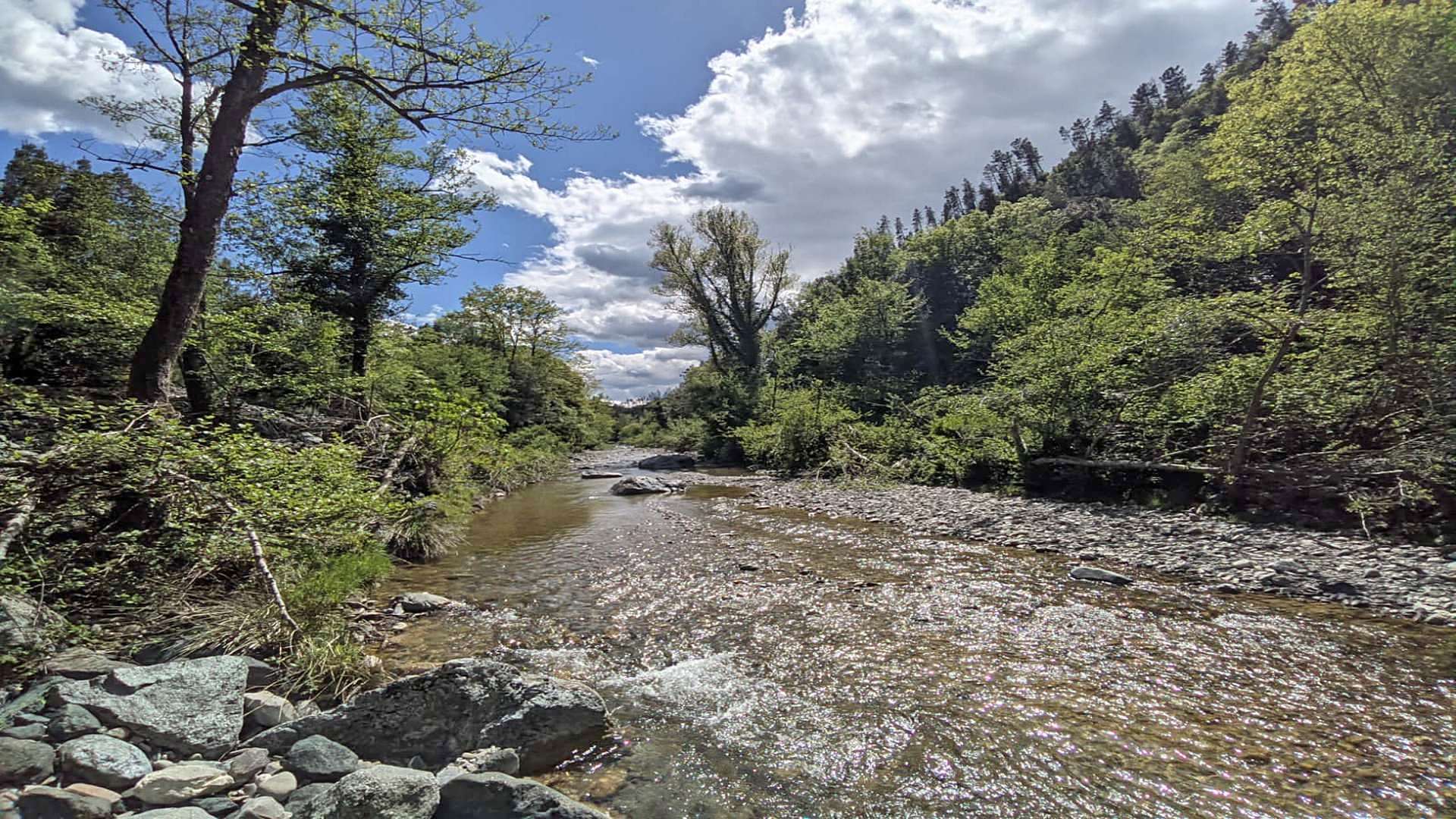 La Risalita del Pavone