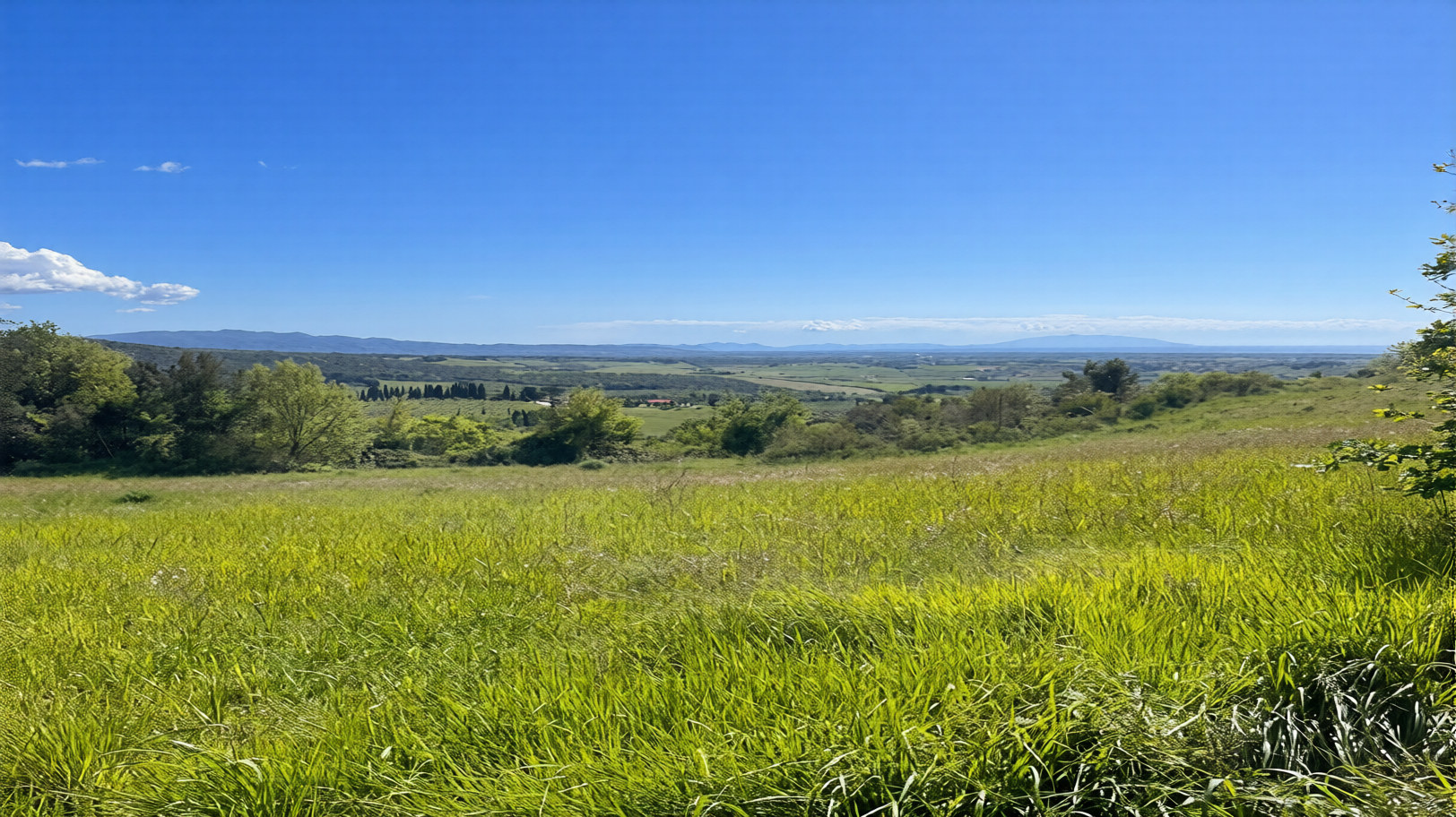 Vista panoramica sulla campagna intorno a Casale Marittimo