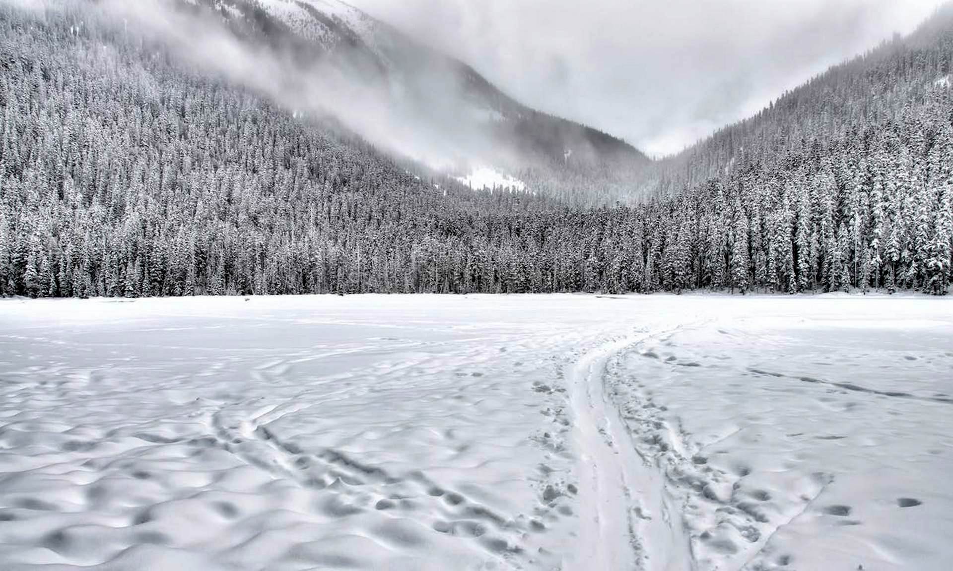 Escursione invernale con le ciaspole sulle montagne toscane