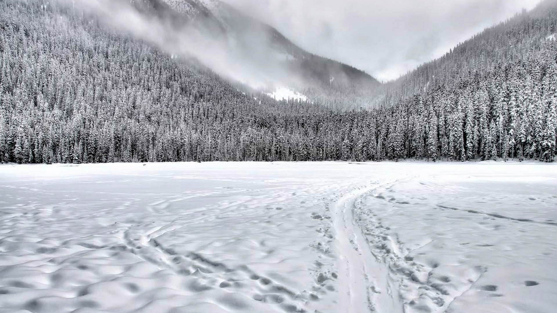 Snowshoe hike in some of the most fascinating places in the Tuscan mountains