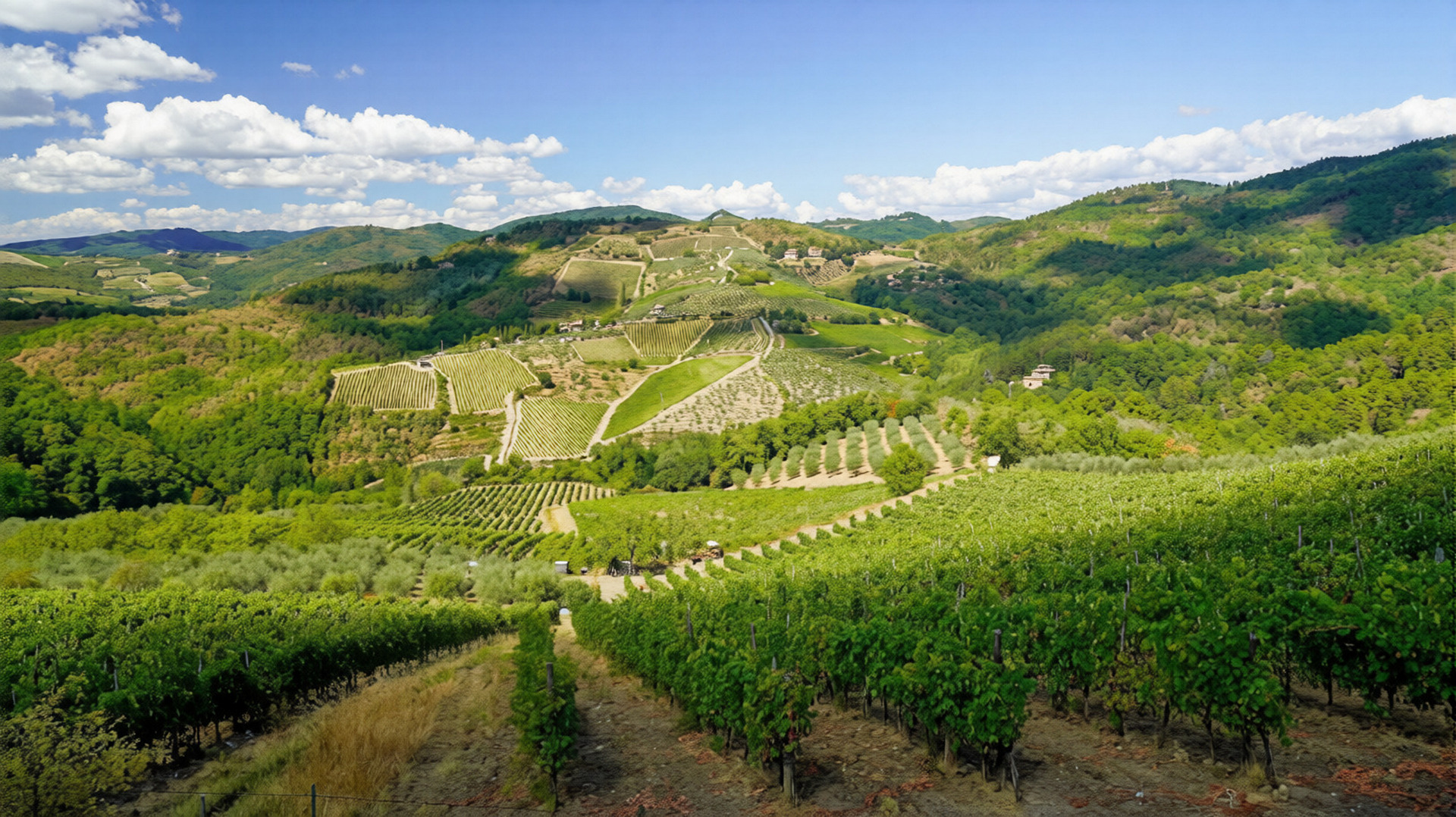 Veduta panoramica delle colline del Chianti con filari di vigneti e uliveti che si estendono sui pendii verdi sotto un cielo azzurro con nuvole bianche, lungo il percorso dell’escursione da Vertine a Gaiole in Chianti
