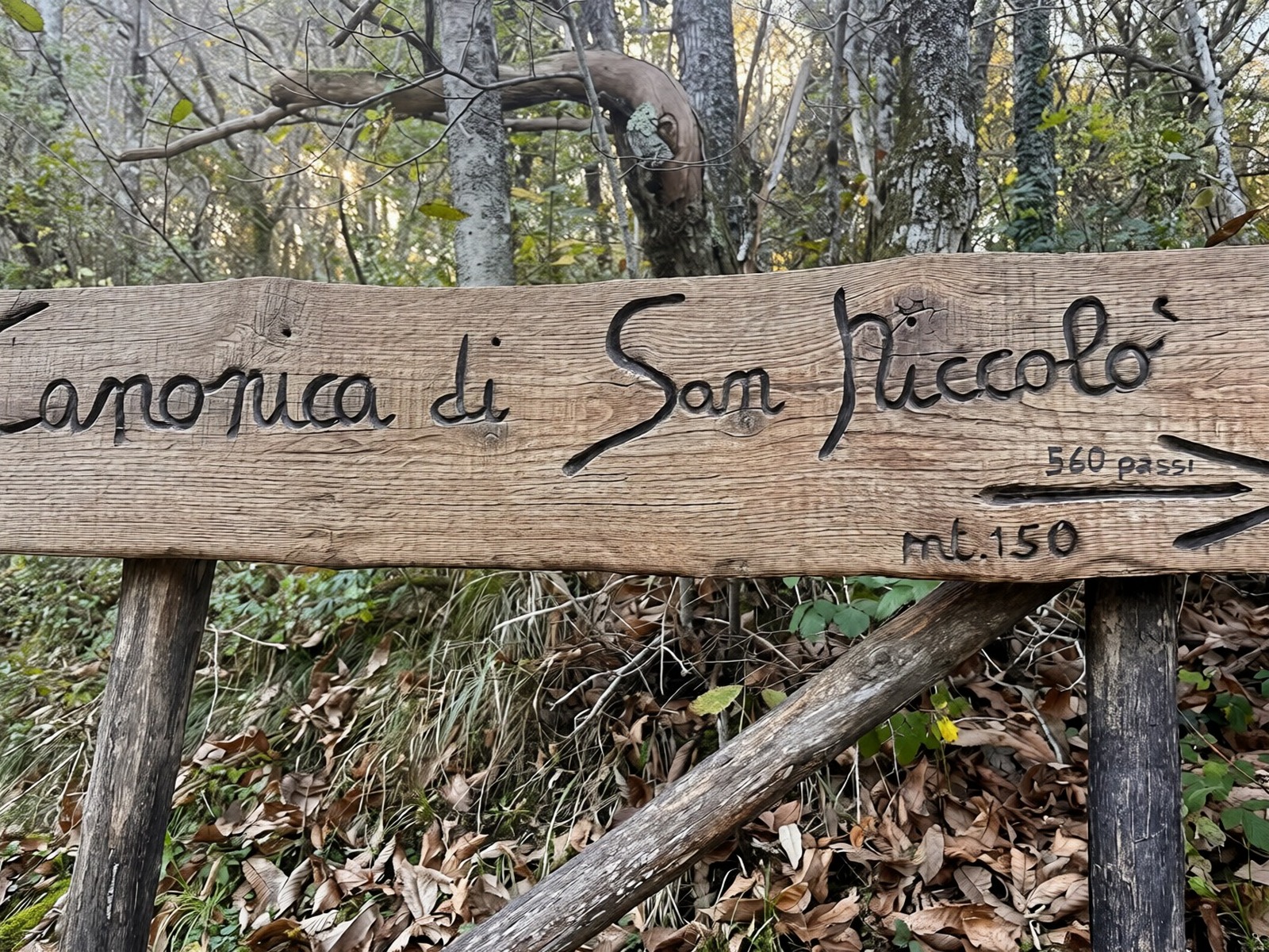 Segnaletica del sentiero verso la Canonica di San Niccolò nel bosco di Montieri