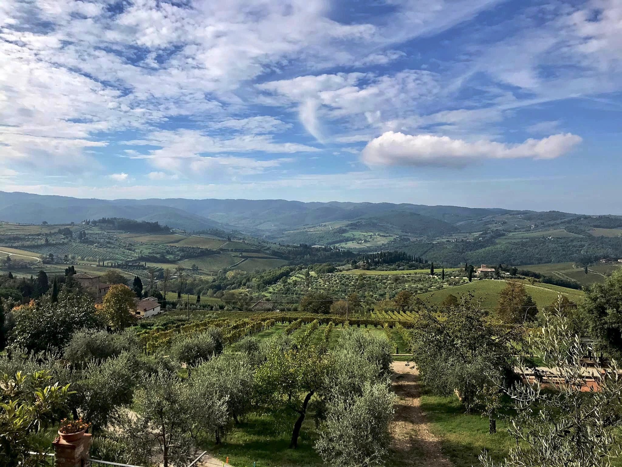 Panzano la Conca d'Oro del Chianti