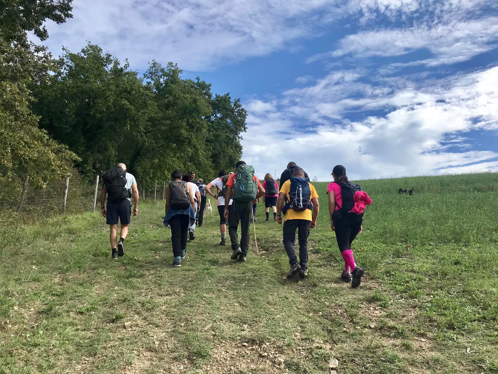 Panzano la Conca d'Oro del Chianti