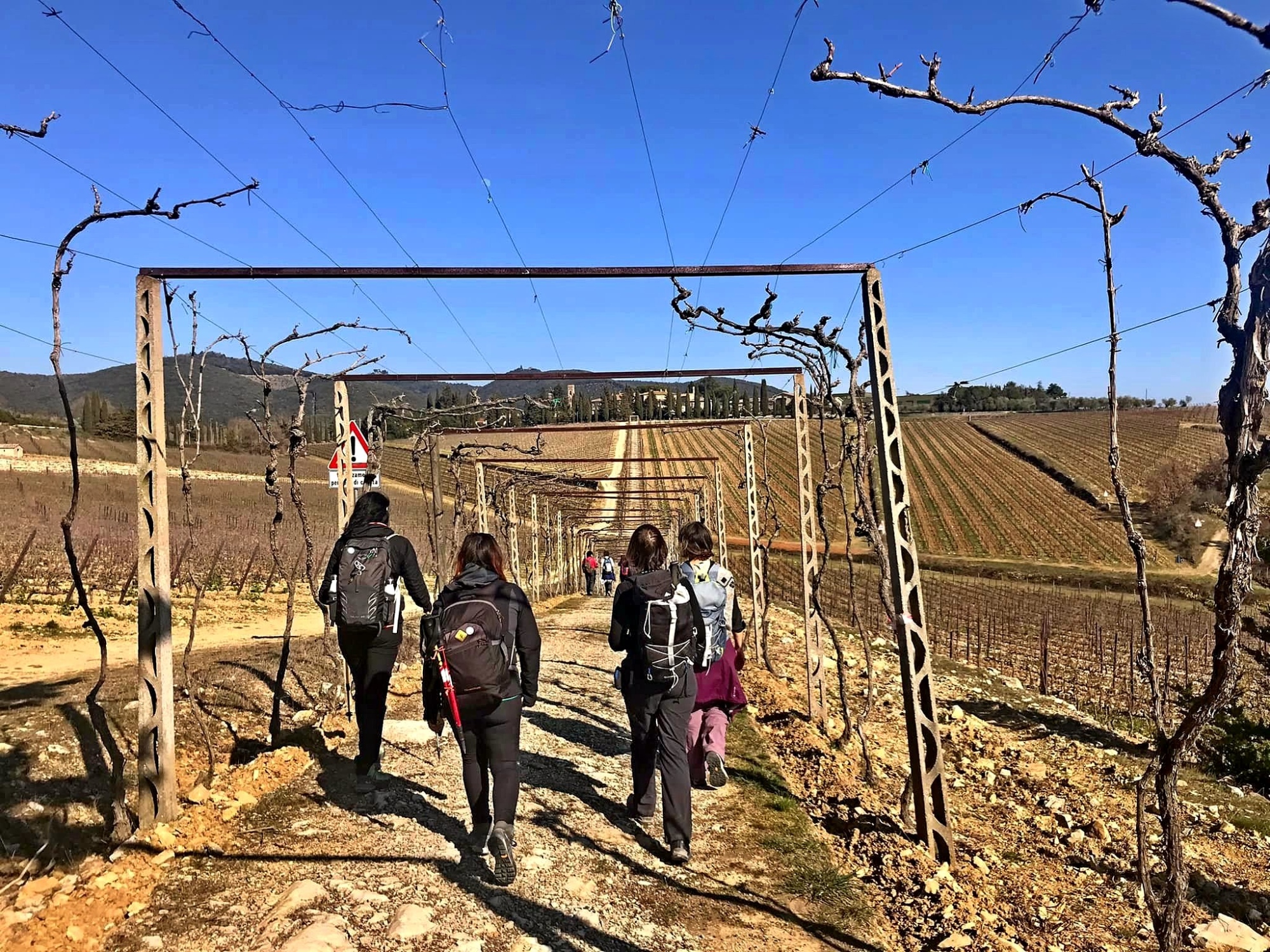 Trekking autunnale ai Castelli del Chianti