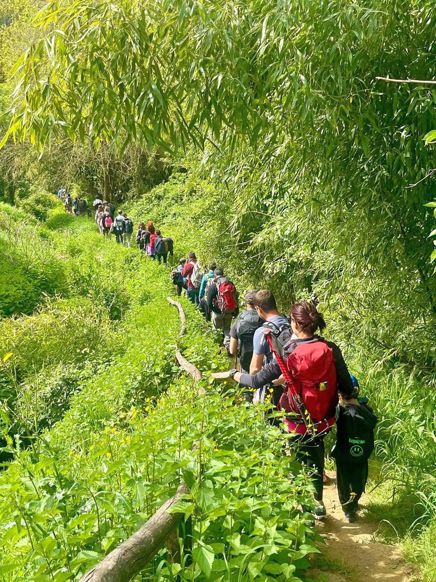 Family Trek alla Scoperta dei Giganti