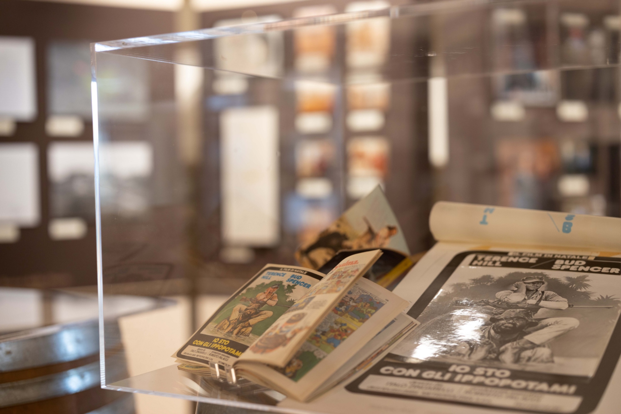 Detalle del Museo Trinità, Rocca delle Macie