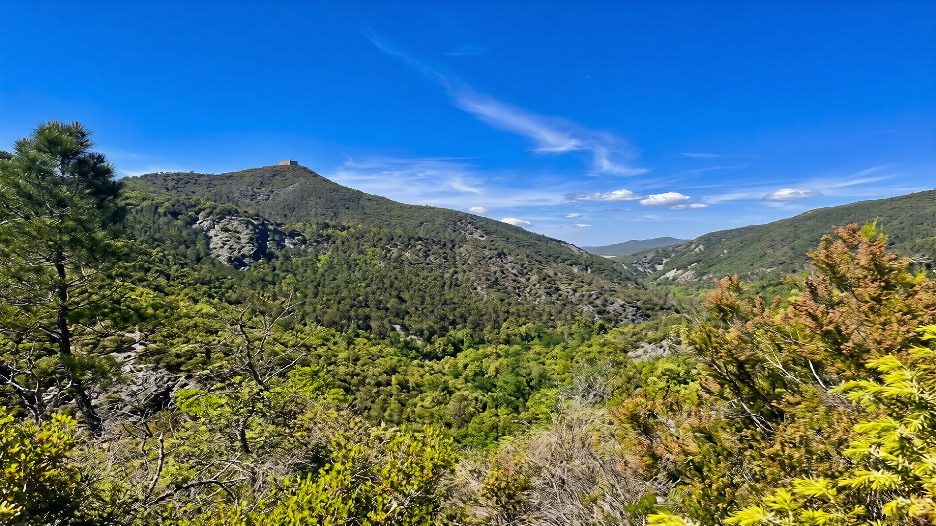 La vallata boscosa della Val di Cecina con torre panoramica