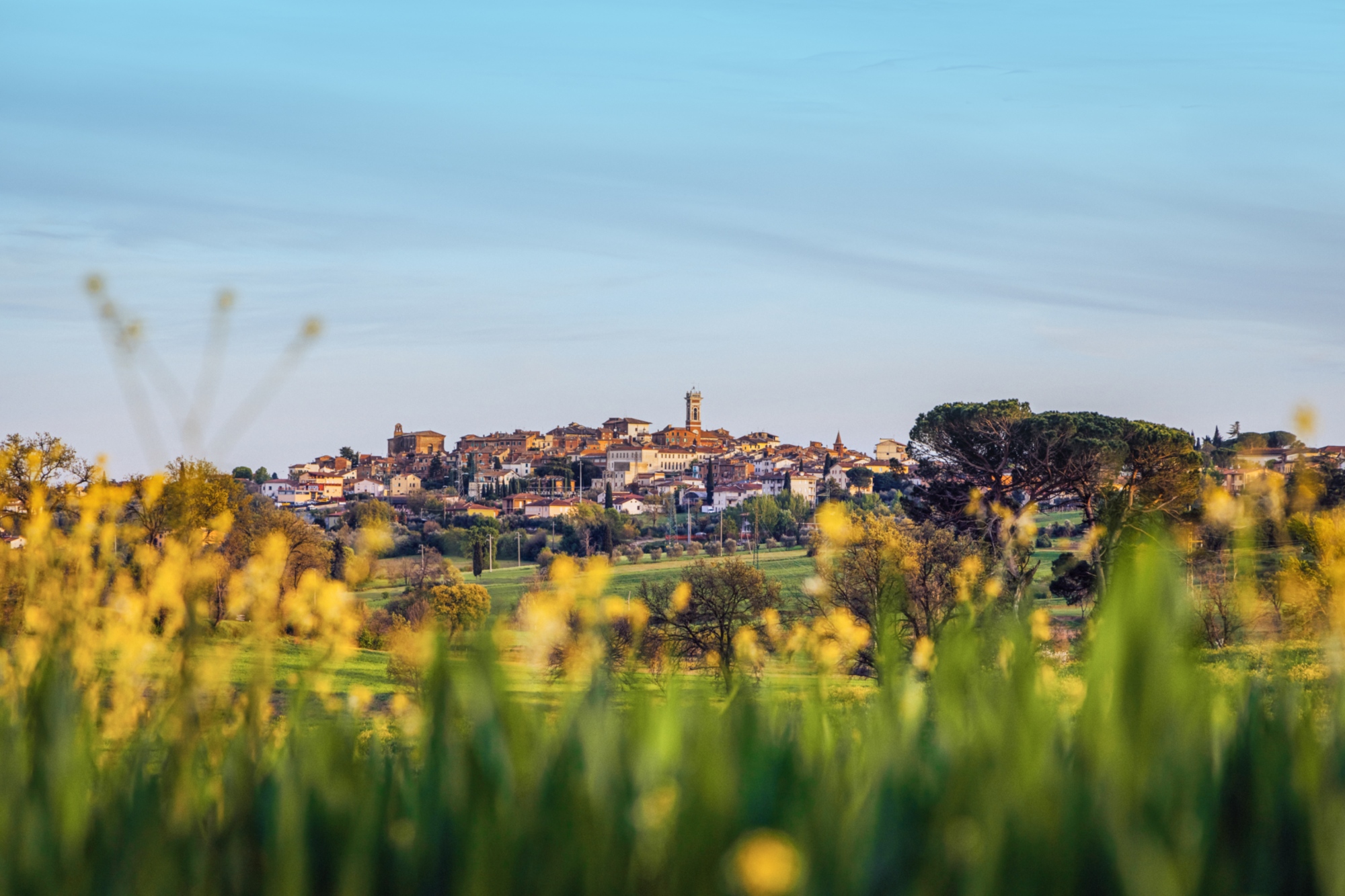 Foiano della Chiana