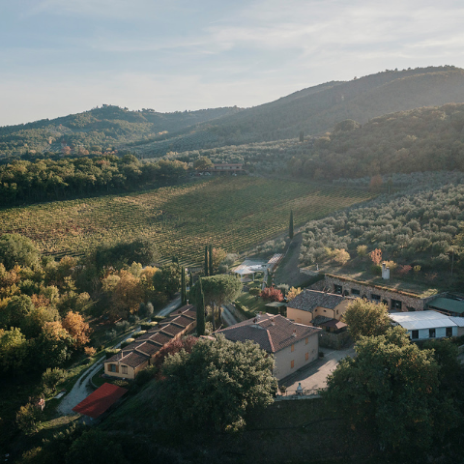 Agriturismo Valdambra in Valdarno