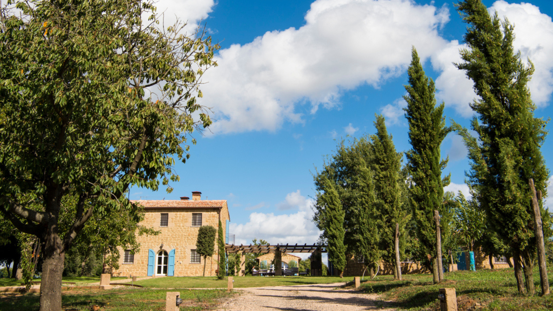 Aperitivo a Sorano nel castagneto al tramonto