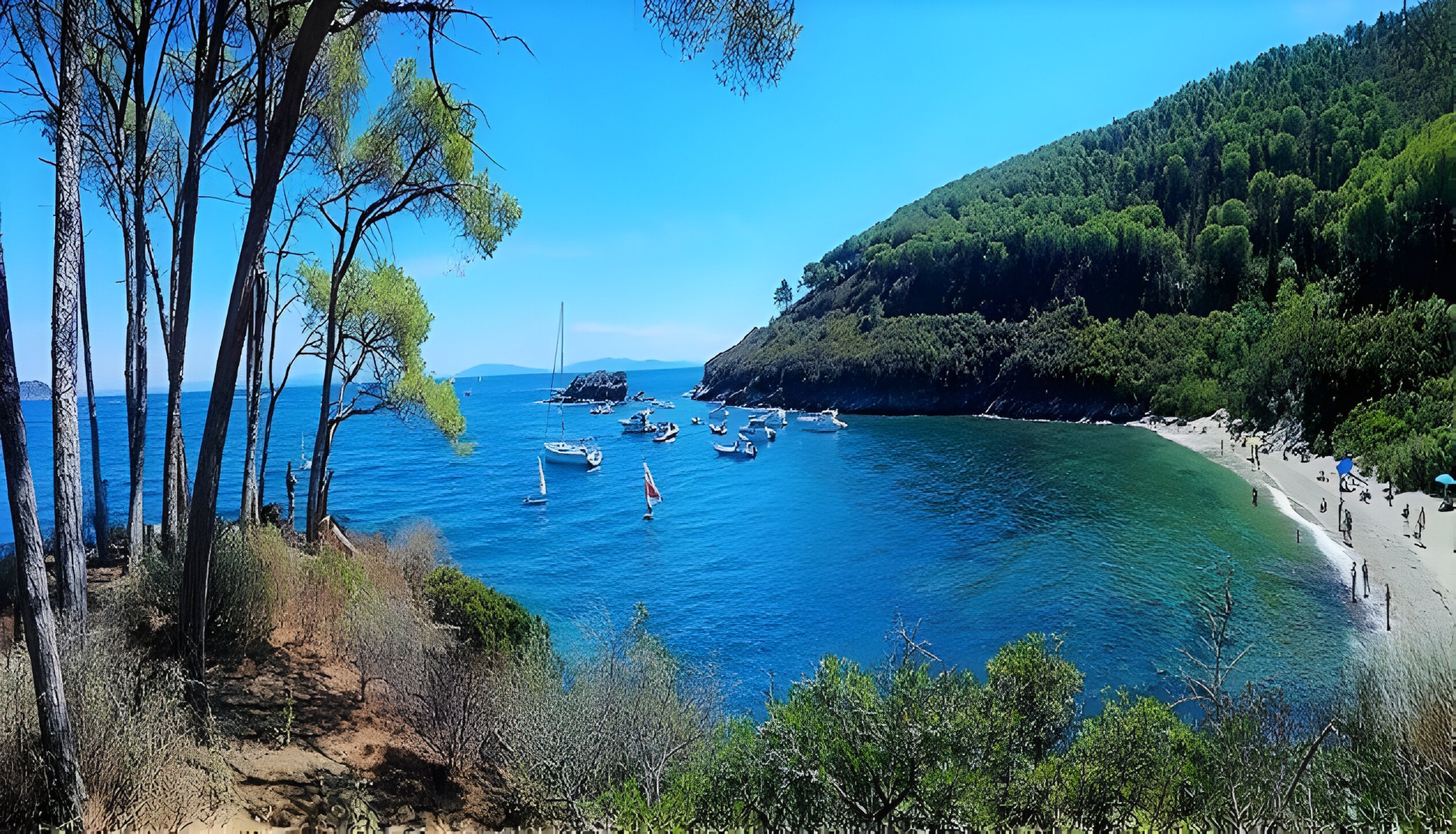 Estate a Capoliveri: la tua oasi di relax vicino al mare!