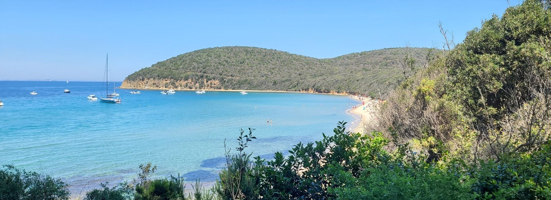 Cala Violina Bay with clear turquoise waters, a sandy beach, moored sailboats, and a wooded promontory on the Maremma coast near Follonica, Tuscany