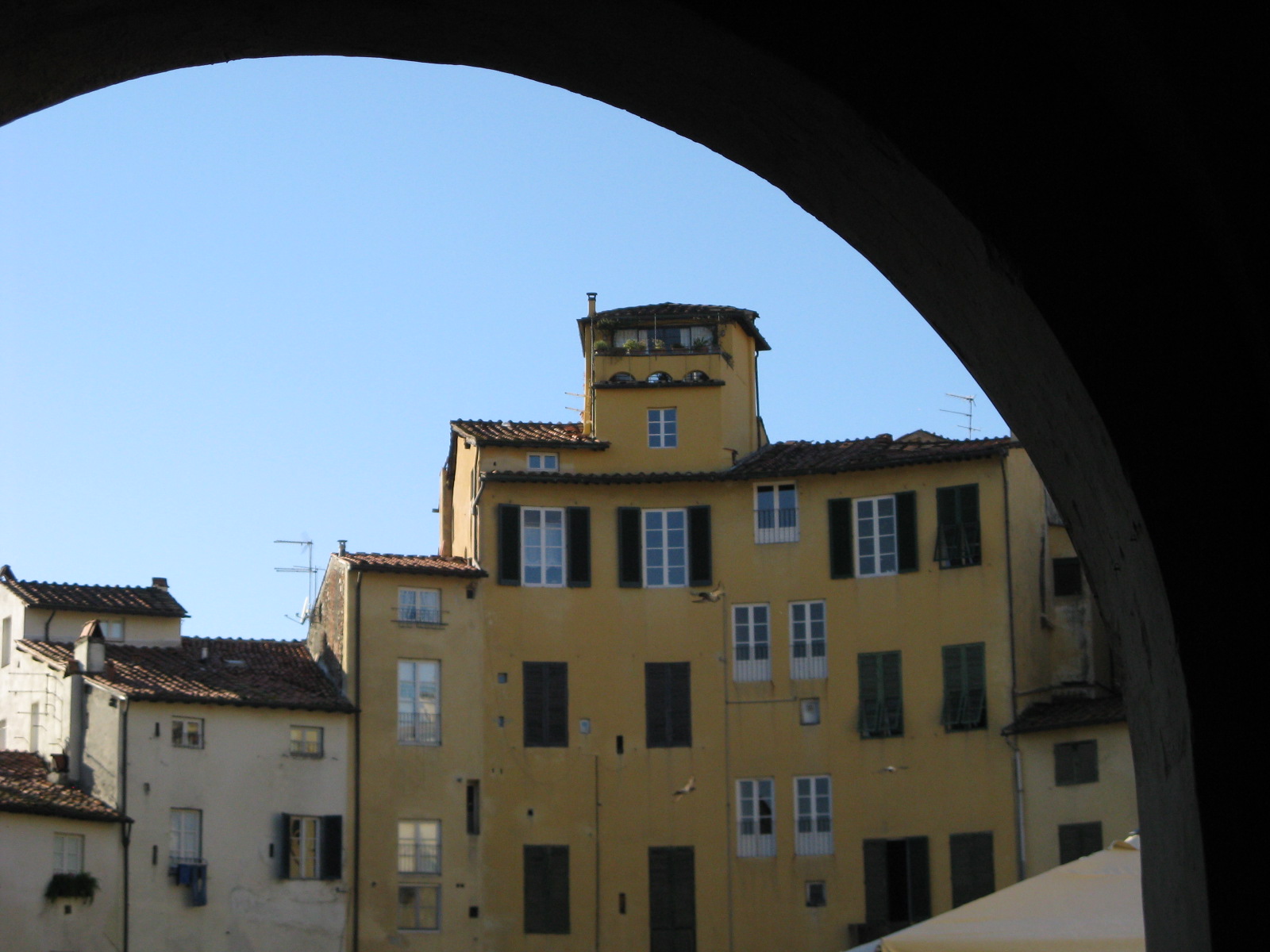 Tour del centro storico di Lucca