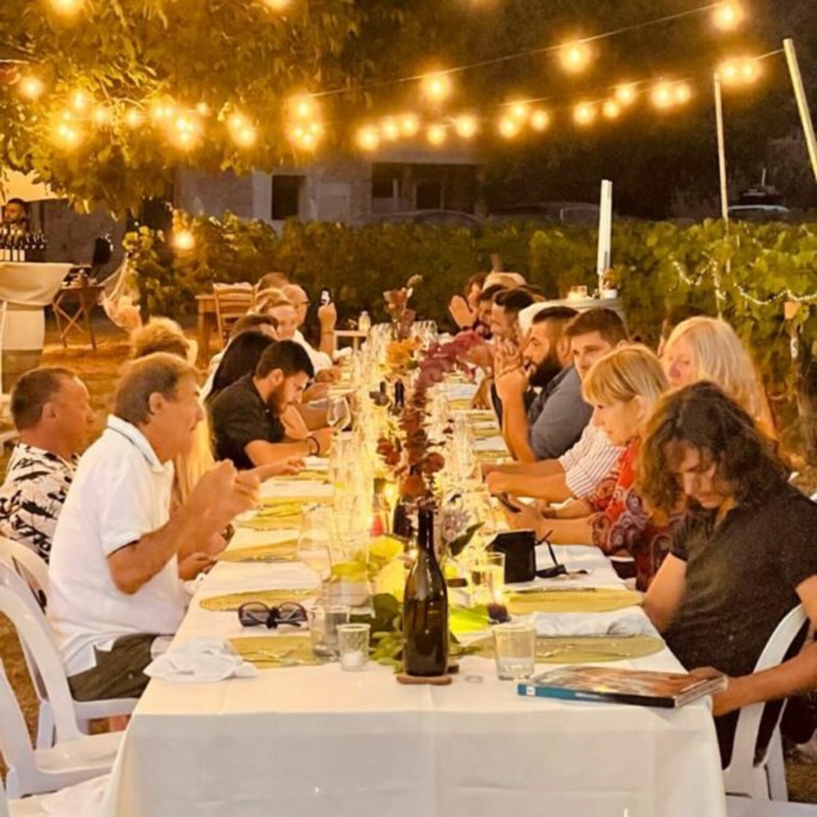 Una cena sotto le stelle per vivere un’esperienza unica a Tenuta La Macchia, non lontano dal mare!