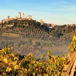 San Gimignano e vitigni