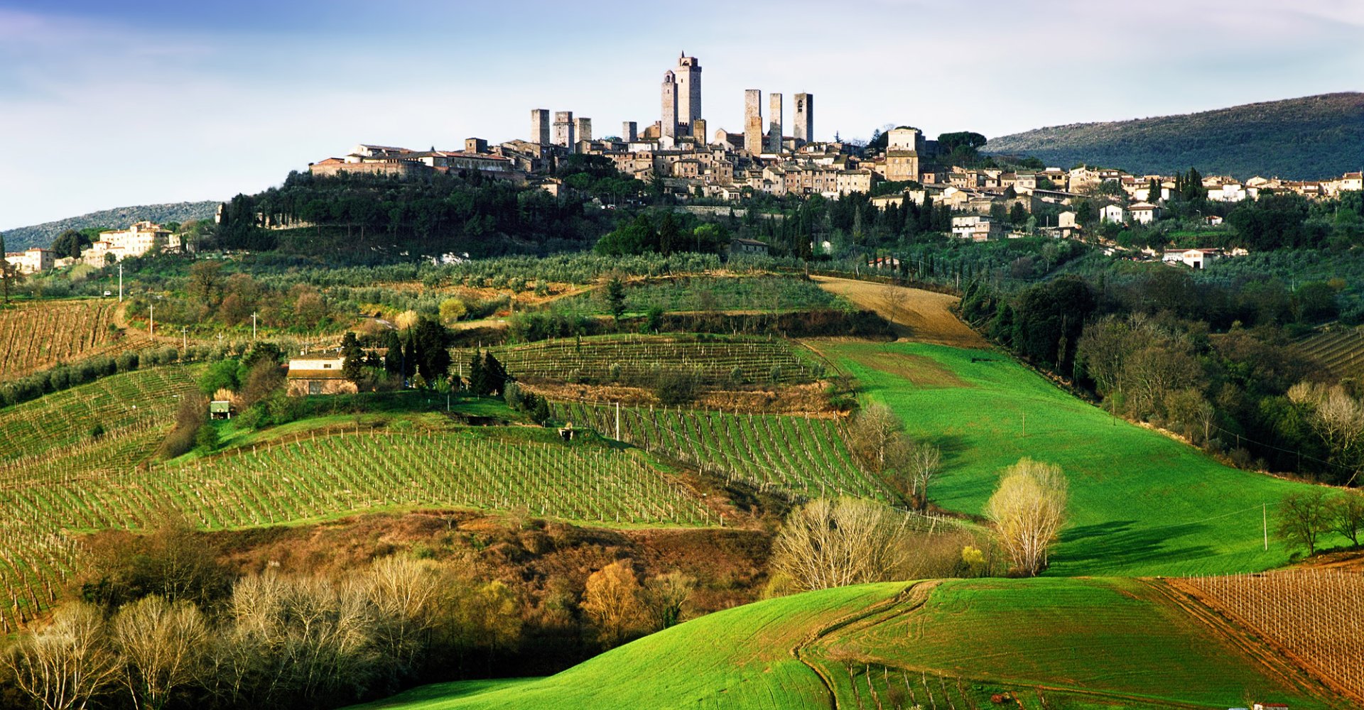 72_andrea-migliorni-san-gimignano-2.jpg