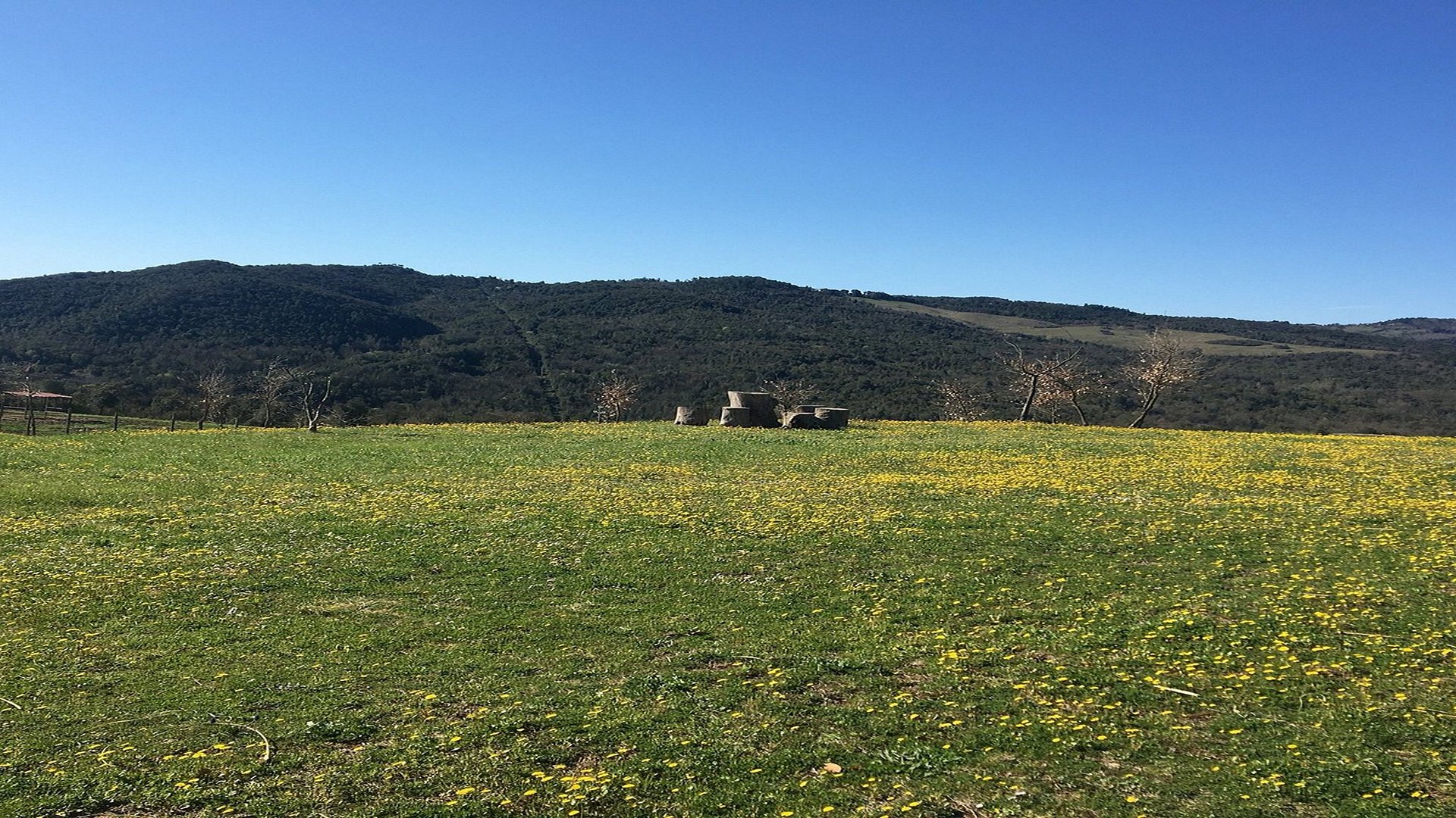 Escursione nella Riserva Naturale La Pietra, lo Sperone Giurassico